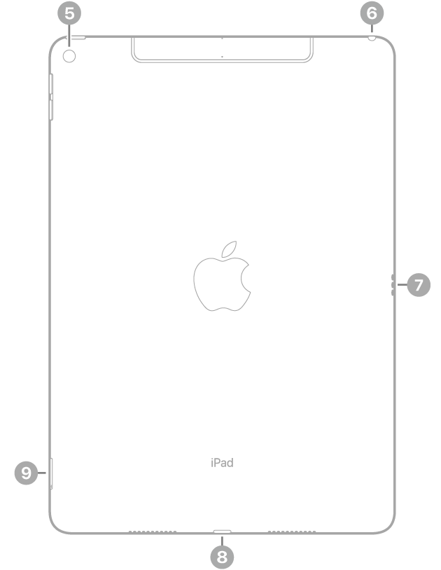 Vista traseira do iPad Air com chamadas para a câmera traseira acima à esquerda, o conector para fone de ouvido acima à direita, o Smart Connector à direita, o conector Lightning no centro abaixo e a bandeja do SIM (Wi-Fi + Cellular) abaixo à esquerda.