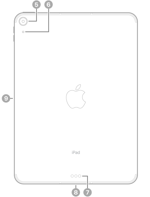 มุมมองด้านหลังของ iPad Air 11 นิ้ว (M2) พร้อมกับคำบรรยายกล้องด้านหลังที่ด้านซ้ายบนสุด, Smart Connector และช่องต่อ USB-C ที่กึ่งกลางด้านล่างสุด, ถาดซิม (Wi-Fi + Cellular) ที่ด้านซ้ายล่างสุด และตัวเชื่อมต่อแบบแม่เหล็กสำหรับ Apple Pencil ทางด้านซ้าย