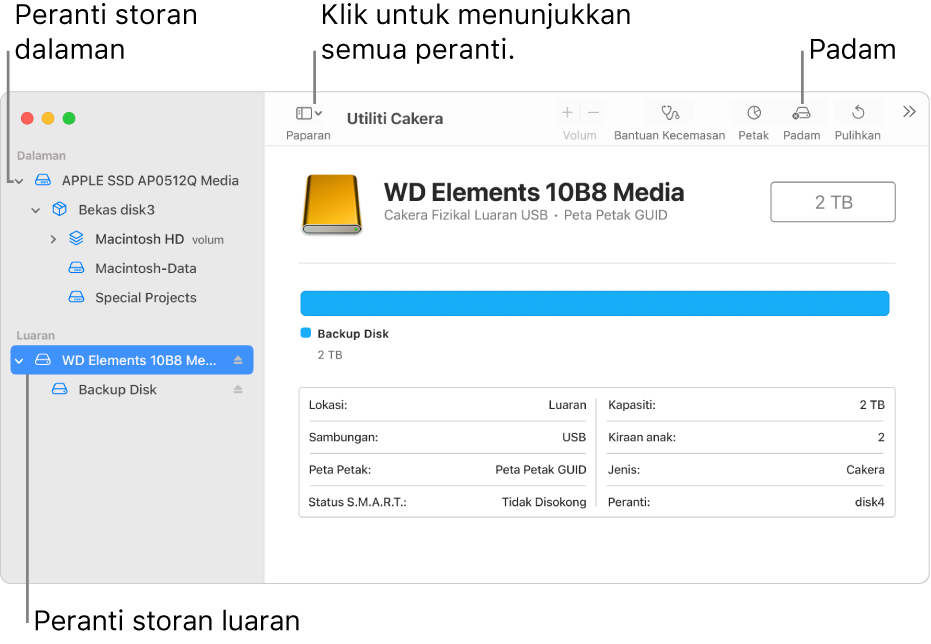 Tetingkap Utiliti Cakera menunjukkan dua peranti storan dalam paparan Tunjukkan Semua peranti.