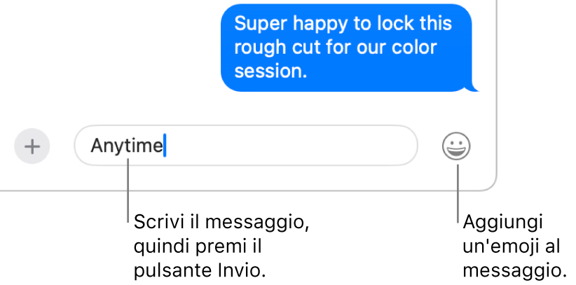 Una registrazione nella finestra Messaggi, con il campo del messaggio nella parte inferiore.