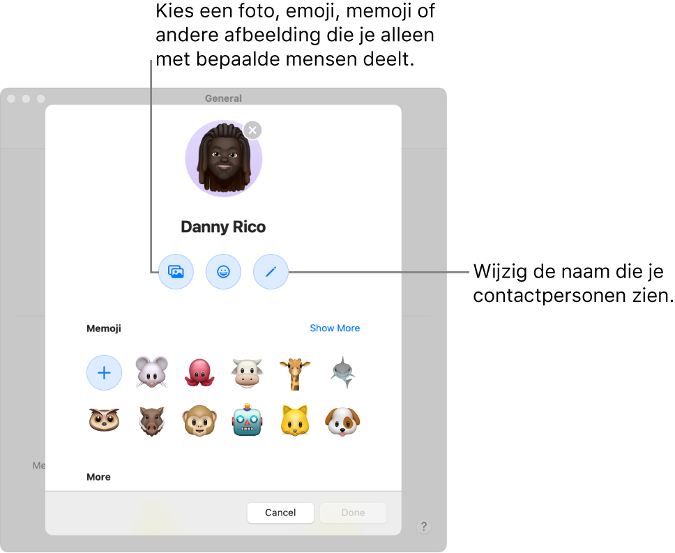 Het dialoogvenster 'Naam en foto delen' met opties voor het wijzigen van de naam van contactpersonen en het kiezen van een foto, emoji, memoji of een andere afbeelding.