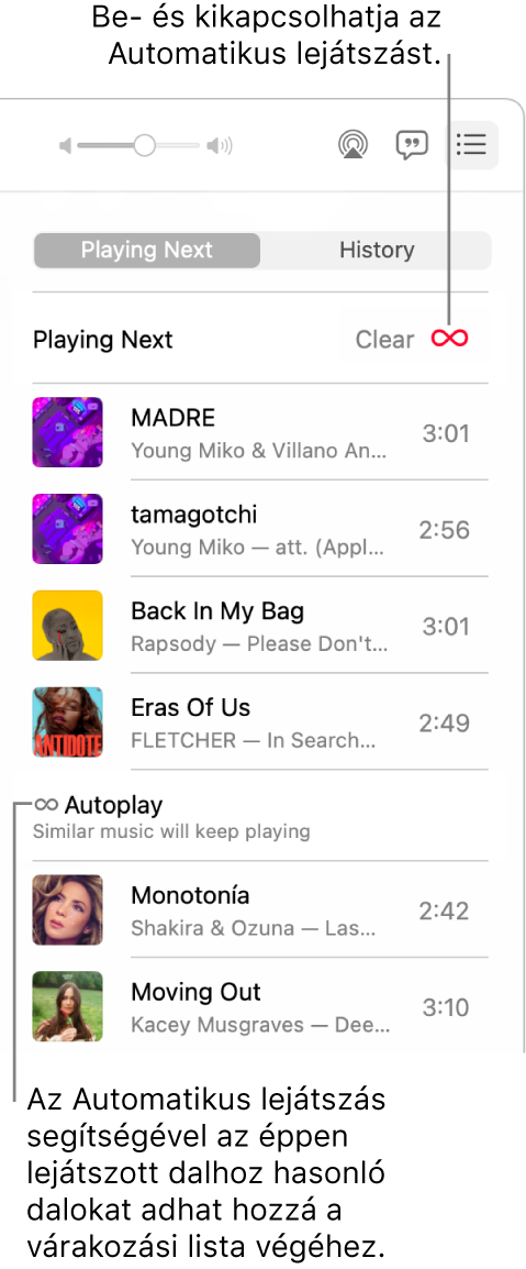 A Lejátszás következőként várakozási sor. Kattintson az Automatikus lejátszás gombra a funkció be- és kikapcsolásához. Ha az Automatikus lejátszás be van kapcsolva a rendszer hasonló zenéket ad hozzá a várakozási sor végéhez.