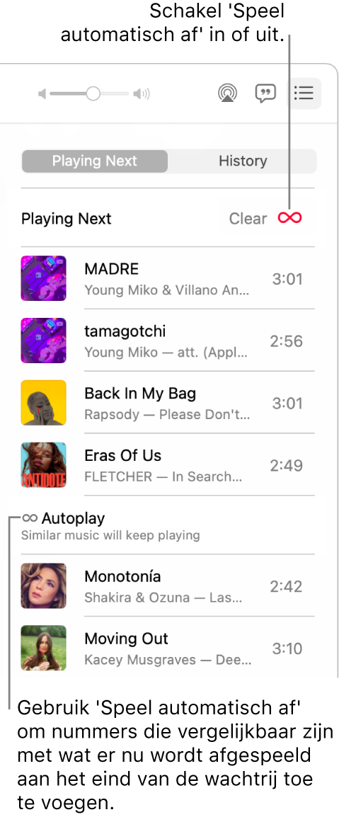 De wachtrij 'Hierna'. Klik op de knop voor automatisch afspelen om deze functie in of uit te schakelen. Wanneer 'Speel automatisch af' is ingeschakeld, worden aan het einde van de wachtrij vergelijkbare nummers toegevoegd.