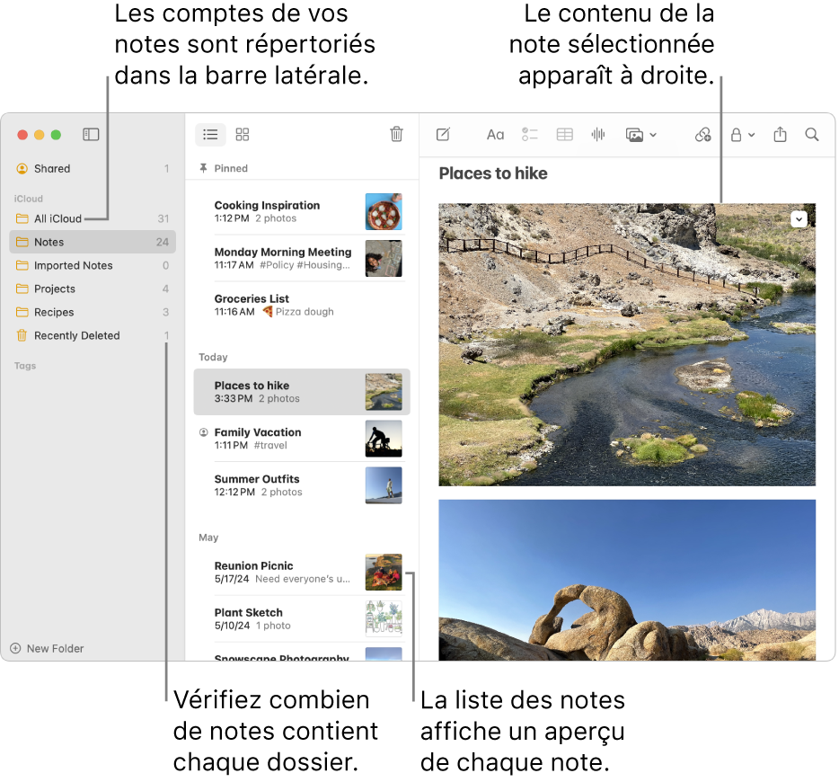 Une fenêtre de l’app Notes sur Mac avec tous vos comptes configurés et dossiers répertoriés dans la barre latérale sur la gauche, la liste des notes au milieu avec un aperçu de chaque note et le contenu de la note sélectionnée sur la droite. Le nombre de notes apparaît à côté de chaque dossier.