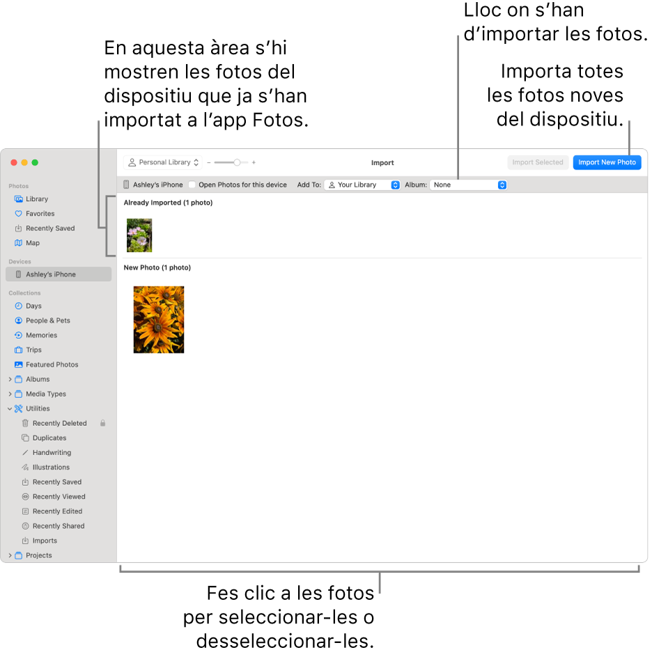 Les fotos del dispositiu que ja has importat es mostren a la part superior de la finestra d’importació, i les fotos noves es mostren a la part inferior. A la part superior central hi ha el menú desplegable “Àlbum”. Els botons d’importació són a la part superior dreta.