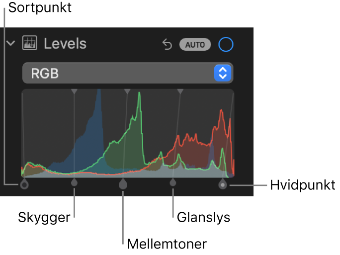 Betjeningsmuligheder til Niveauer i vinduet Juster med RGB-histogrammet med håndtag nedenfor, herunder sortpunkt, skygger, mellemtoner, glanslys og hvidpunkt (fra venstre mod højre).