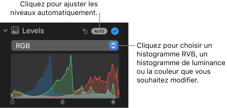 Les commandes Niveaux dans la sous-fenêtre Ajuster, avec le bouton Auto en haut à droite et l’histogramme RVB en dessous.