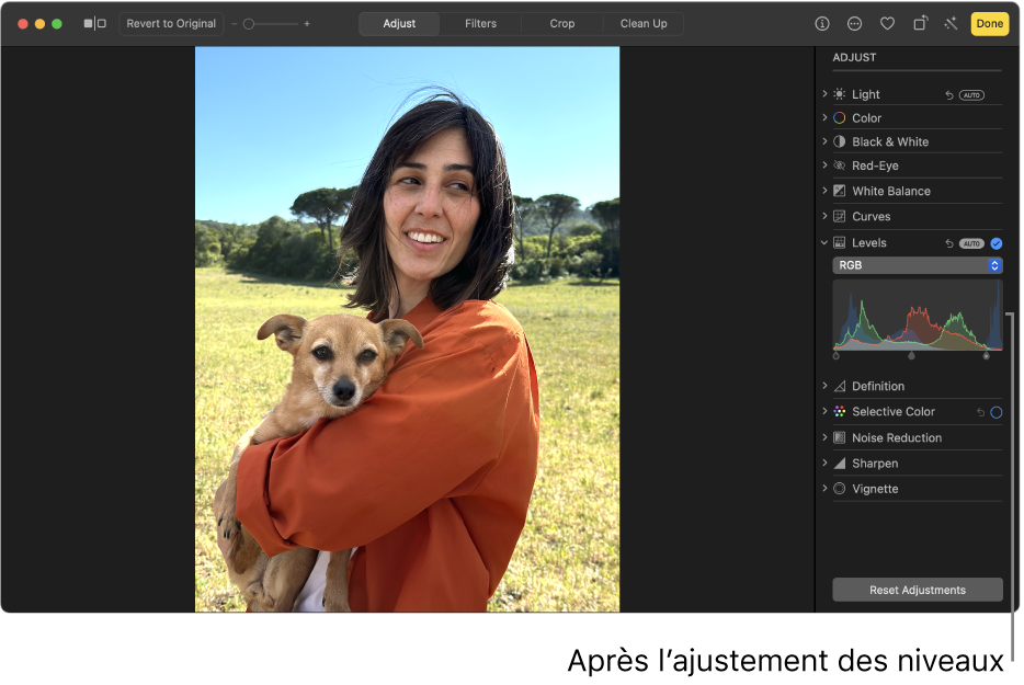 Une photo après l’ajustement des niveaux.