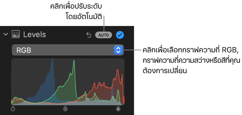 ตัวควบคุมระดับในบานหน้าต่างการปรับที่มีปุ่มออโต้ที่ด้านขวาบนสุดและฮิสโตแกรม RGB ด้านล่าง