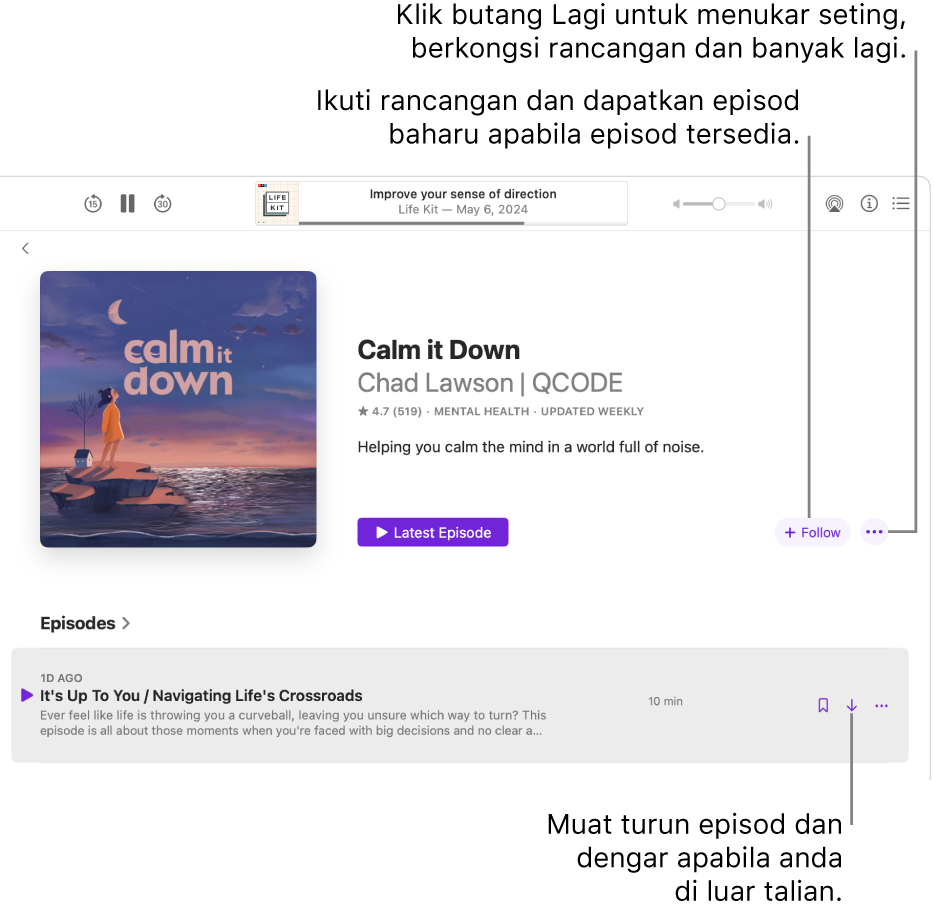 Halaman maklumat untuk podcast, menunjukkan butang Ikuti, Lagi dan Muat Turun.