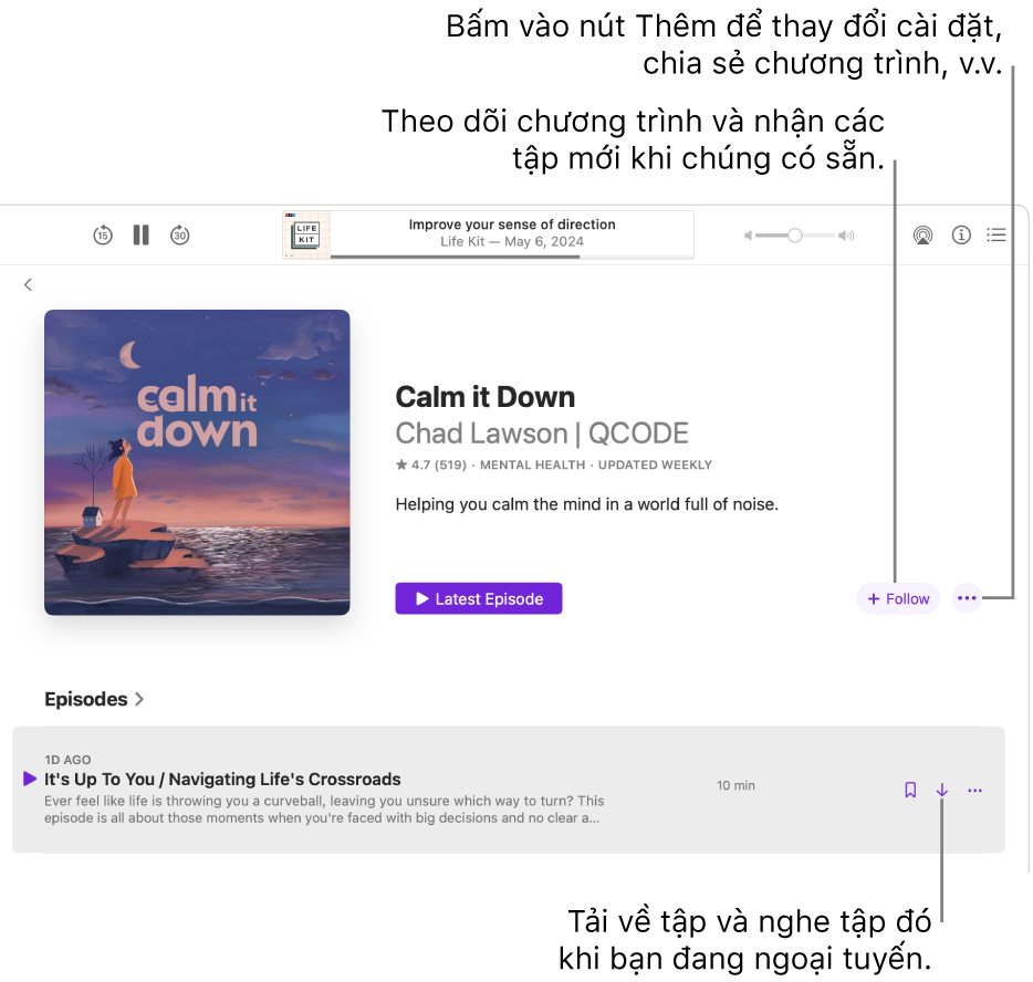 Một trang thông tin cho một podcast, đang hiển thị các nút Theo dõi, Thêm và Tải về.