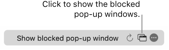 The Smart Search field with a button to show blocked pop-up windows.