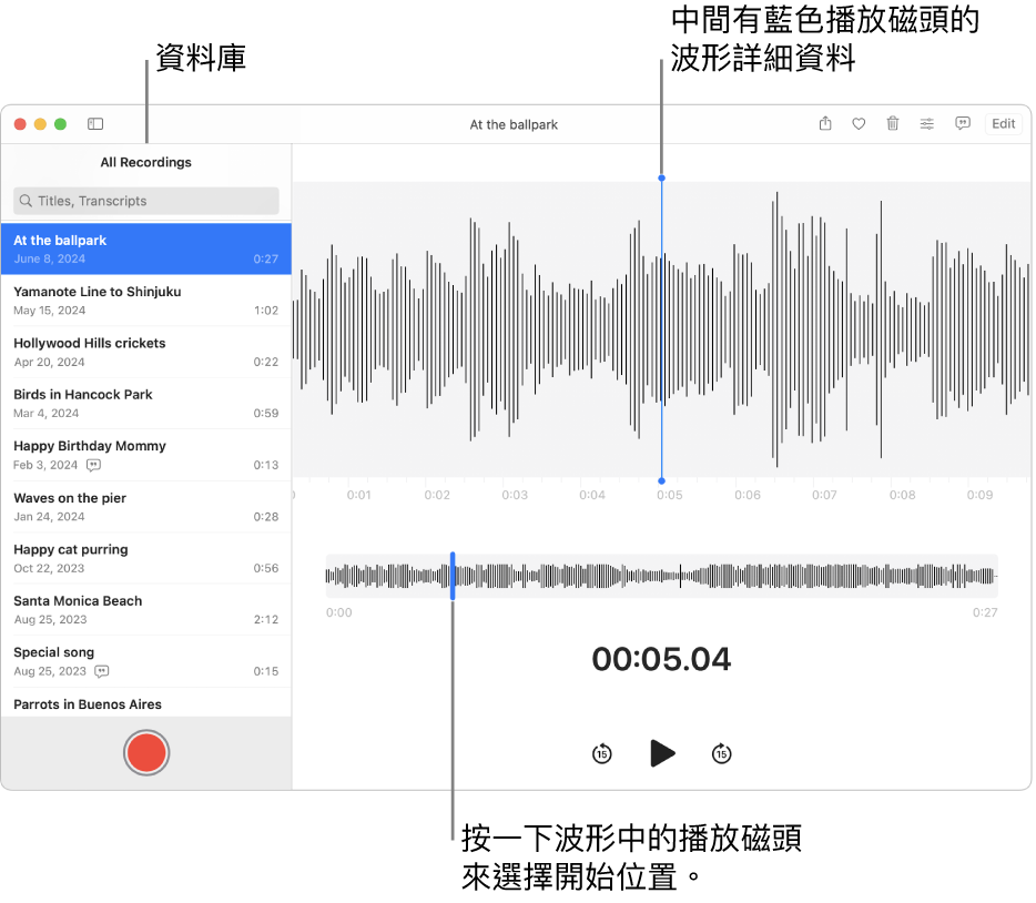 「錄音機」App 在左方資料庫中顯示錄音。 所選錄音顯示在列表右方的視窗中，中間有藍色播放磁頭的波形詳細資料。 錄音下方為波形概覽。