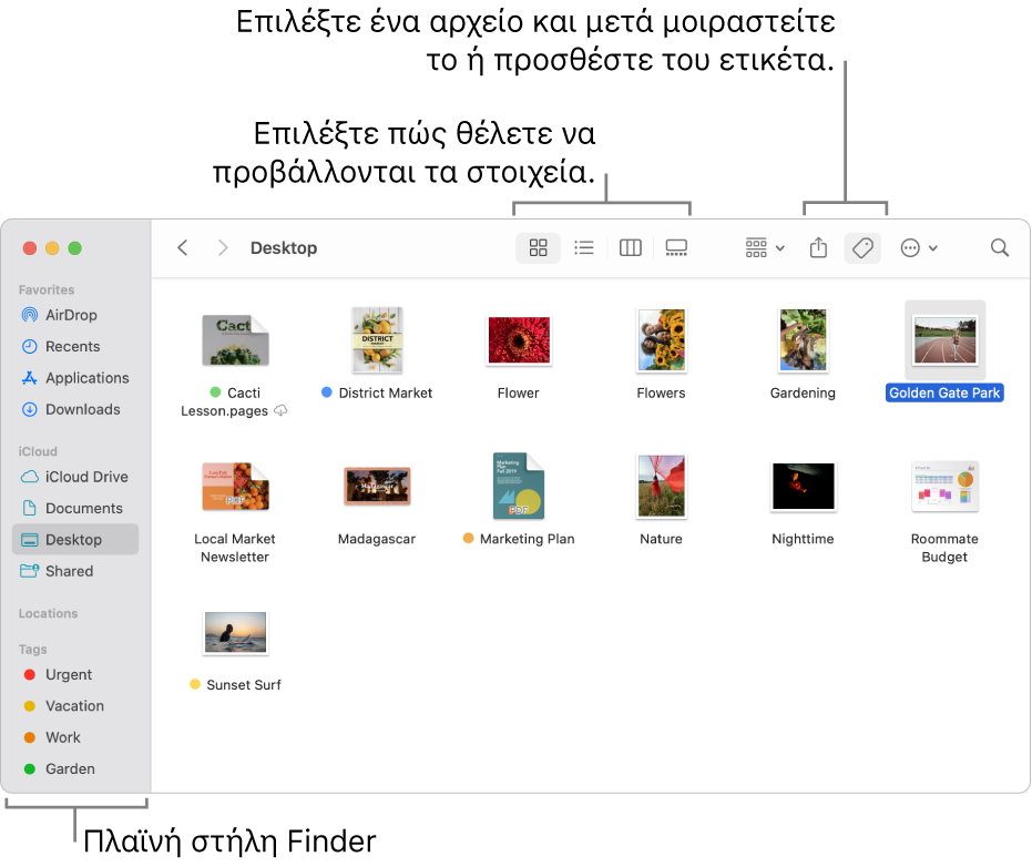 Ένα παράθυρο του Finder με την πλαϊνή στήλη του Finder στα αριστερά. Στην πάνω πλευρά του παραθύρου υπάρχουν τέσσερα κουμπιά τα οποία αλλάζουν τον τρόπο εμφάνισης των στοιχείων στο παράθυρο, και πρόσθετα κουμπιά για την οργάνωση και κοινή χρήση στοιχείων.