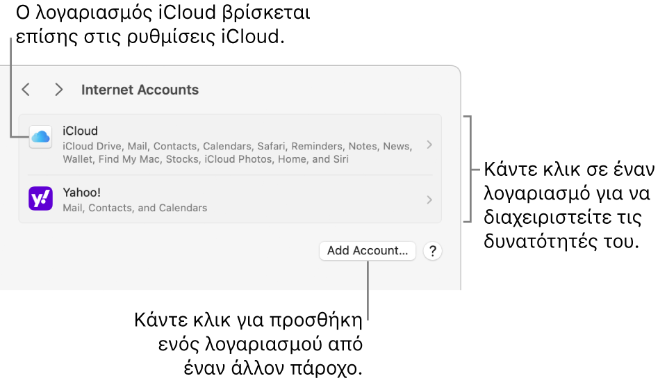 Εμφανίζονται οι ρυθμίσεις Λογαριασμών Διαδικτύου με λογαριασμούς που έχουν διαμορφωθεί στο Mac.