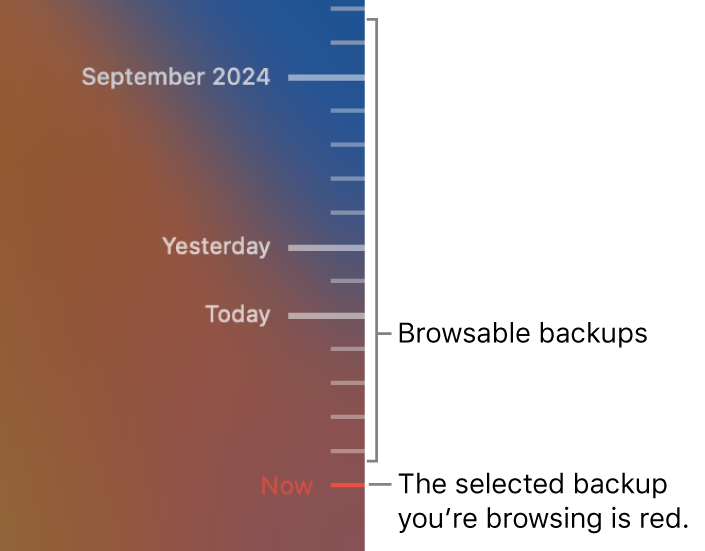 Ticks in the backup timeline. The red tick mark indicates the backup you’re browsing.