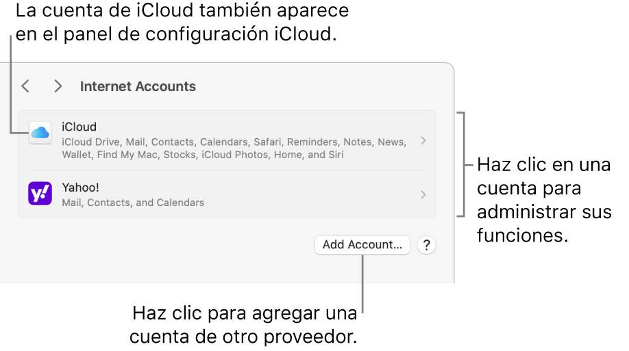 La configuración de Cuentas de Internet mostrando una lista de las cuentas que están configuradas en la Mac.