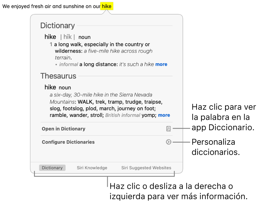 La ventana Consultar mostrando las definiciones de diccionario y tesauros para una palabra.