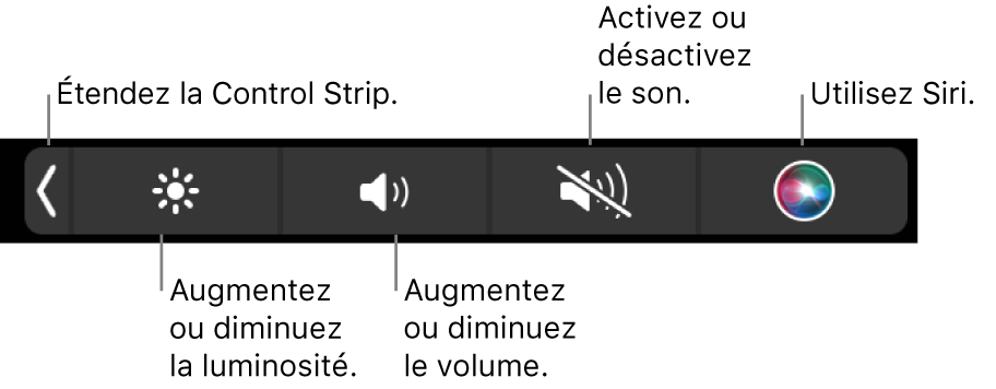 La Control Strip condensée comprend des boutons de gauche à droite, pour développer la Control Strip, augmenter ou baisser la luminosité de l’écran ou le volume, couper ou rétablir le son et utiliser Siri.