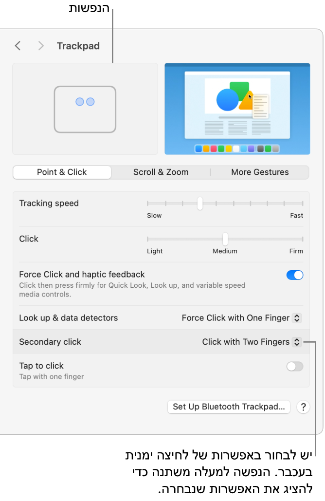 אפשרויות משטח המגע ב״הגדרות המערכת״ מציגות את אפשרות הלחיצה המשנית המוגדרת ל״לחיצה עם שתי אצבעות״ ואת ההנפשה התואמת.