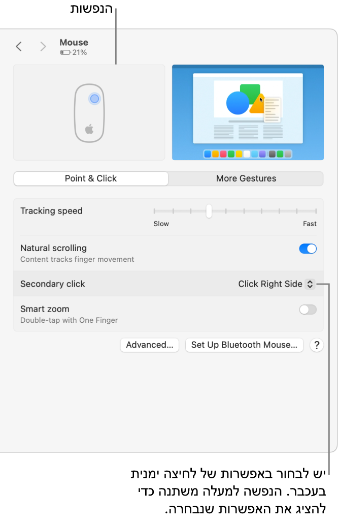 אפשרויות העכבר ב״הגדרות המערכת״ מציגות את אפשרות הלחיצה המשנית המוגדרת ל״צד הימני״ ואת ההנפשה התואמת.