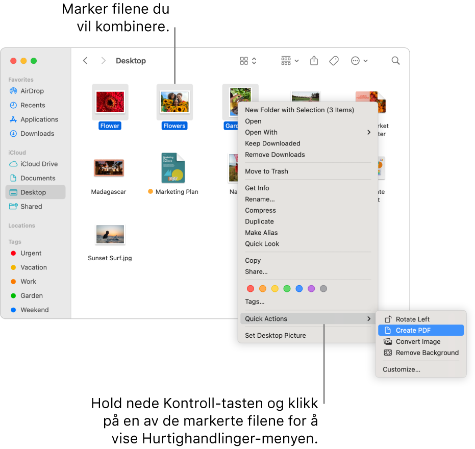 Et Finder-vindu med filer og mapper, hvor tre filer er markert og Opprett PDF er markert i Hurtighandlinger-menyen.