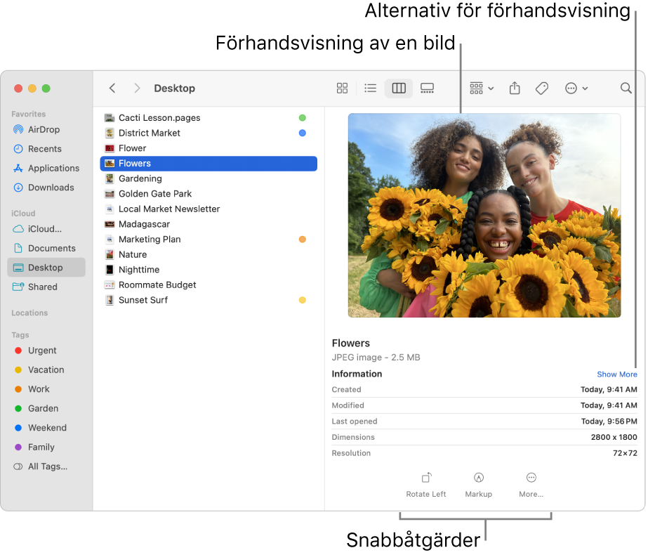 Ett Finder-fönster med Finder-sidofältet till vänster och en bildfil markerad i mitten av fönstret. I förhandsvisningspanelen till höger visas hur bilden ser ut, under den visas bildinformation och längst ned finns knappar för snabbåtgärder.