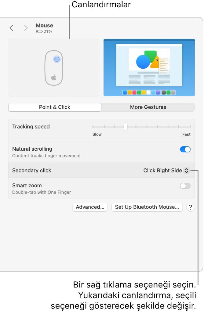 Sistem Ayarları’ndaki Fare seçenekleri, Sağ Tarafı Tıklayın’a ayarlanmış ikincil tıklamayı ve karşılık gelen canlandırmayı gösteriyor.