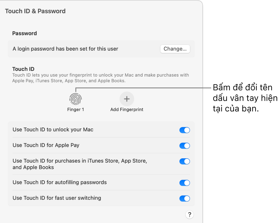 Cài đặt Touch ID & Mật khẩu đang cho biết dấu vân tay đã sẵn sàng và có thể được sử dụng để mở khóa máy Mac.