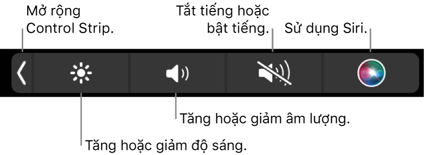 Control Strip được thu gọn bao gồm các nút – từ trái sang phải – để mở rộng Control Strip, tăng hoặc giảm độ sáng màn hình và âm lượng, tắt tiếng hoặc bật tiếng và sử dụng Siri.