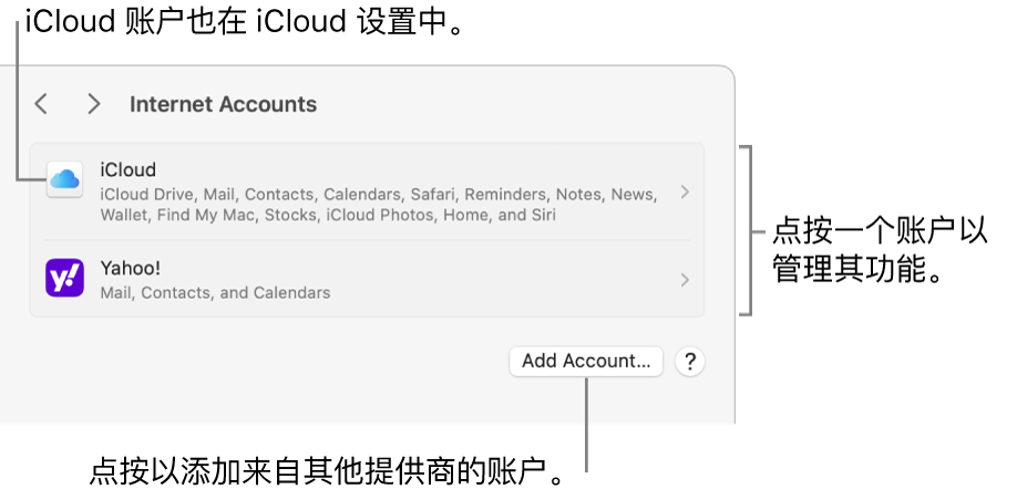 “互联网账户”设置，其中列出了在 Mac 上设置的账户。