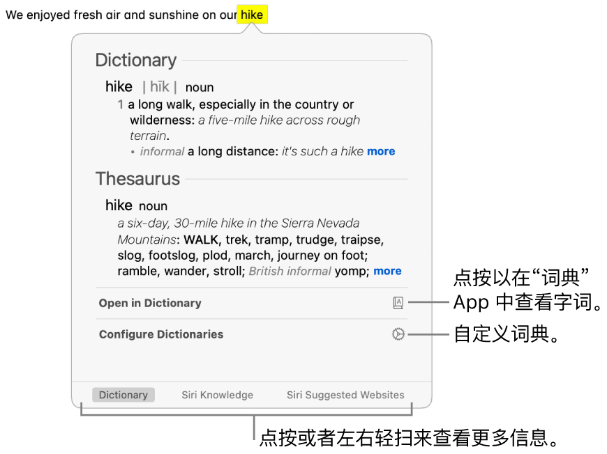 “查询”窗口，显示某个字词的词典和辞典定义。