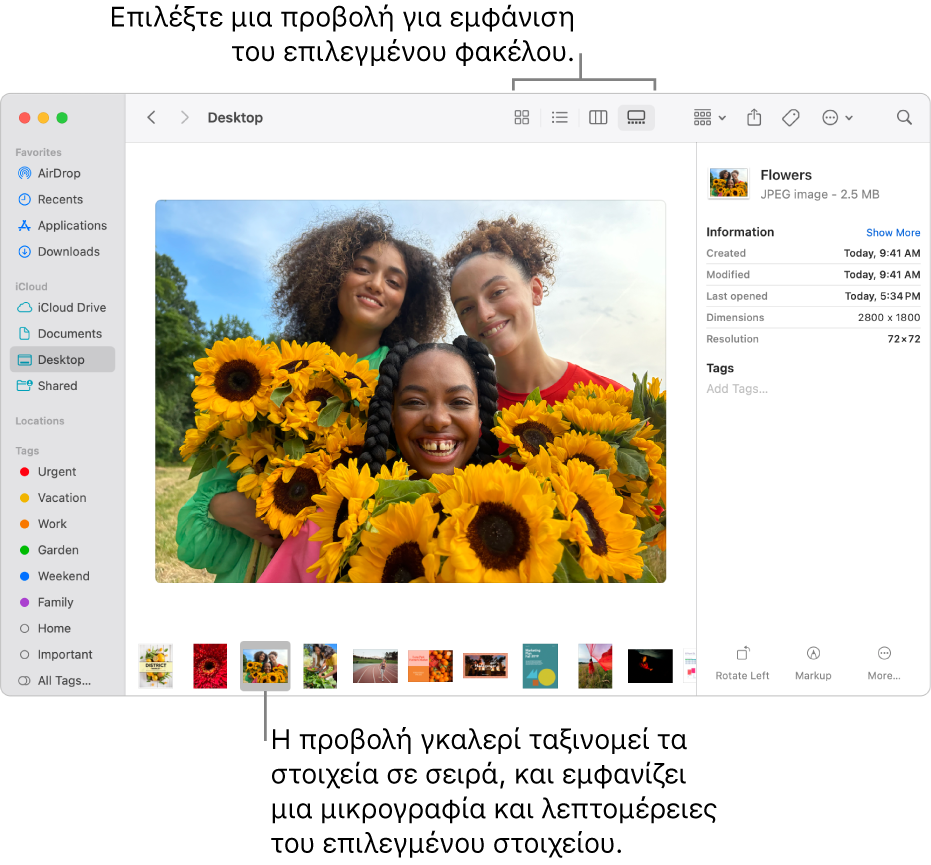 Ένα παράθυρο του Finder όπου φαίνεται η πλαϊνή στήλη του Finder στα αριστερά και ένα επιλεγμένο αρχείο εικόνας στο κάτω μέρος του παραθύρου. Στη μέση, το τμήμα Προεπισκόπησης όπου εμφανίζεται το πώς φαίνεται η εικόνα, οι λεπτομέρειες της εικόνας και τα κουμπιά Γρήγορων ενεργειών στα δεξιά.
