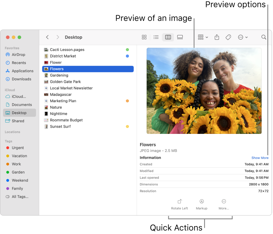 A Finder window showing the Finder sidebar on the left and an image file selected in the middle of the window. On the right, the Preview pane shows what the image looks like with the image details below that and the Quick Actions buttons at the bottom.