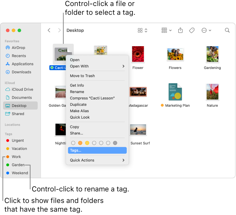 A Finder window containing tagged files and folders, with a file selected. In the shortcut menu, there are color choices for tags, and Tags is highlighted.