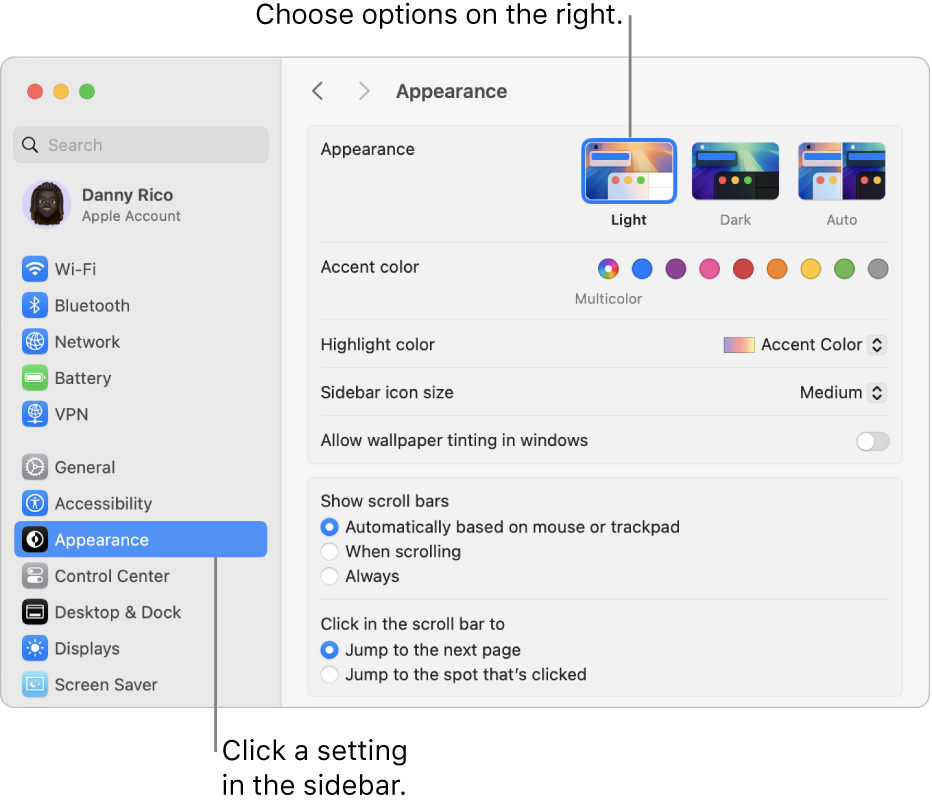 The System Settings window, with Appearance settings selected in the sidebar, and Appearance options on the right.