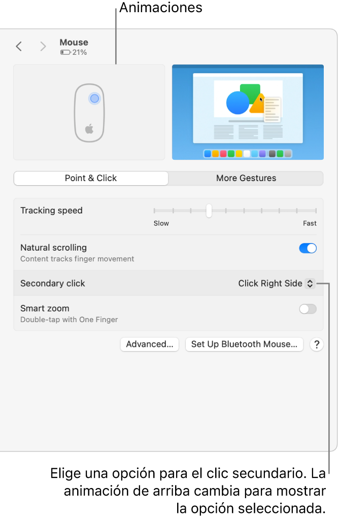 Las opciones del mouse en Configuración del Sistema mostrando la opción de clic secundario establecida a Hacer clic en el lado derecho, y la animación correspondiente