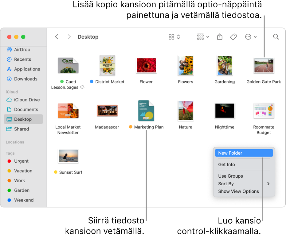 Finder-ikkuna, jossa on tiedostoja ja kansioita. Oikotievalikossa on korostettuna Uusi kansio.