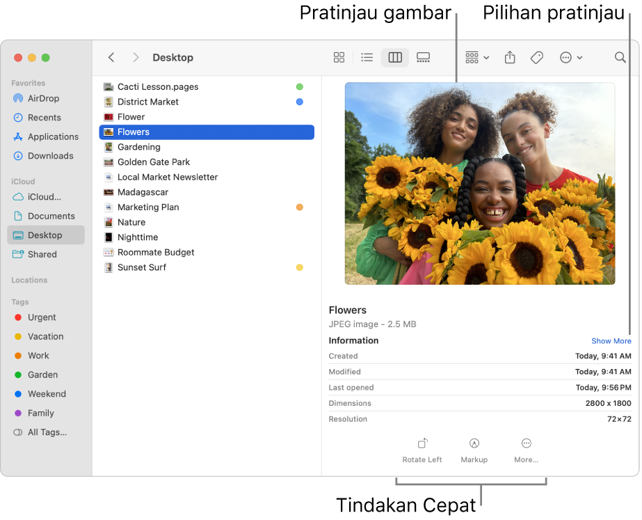 Jendela Finder menampilkan bar samping Finder di sebelah kiri dan file gambar dipilih di tengah jendela. Di sebelah kanan, panel Pratinjau menampilkan seperti tampilan gambar, dengan detail gambar di bawahnya, dan tombol Tindakan Cepat di bagian bawah.