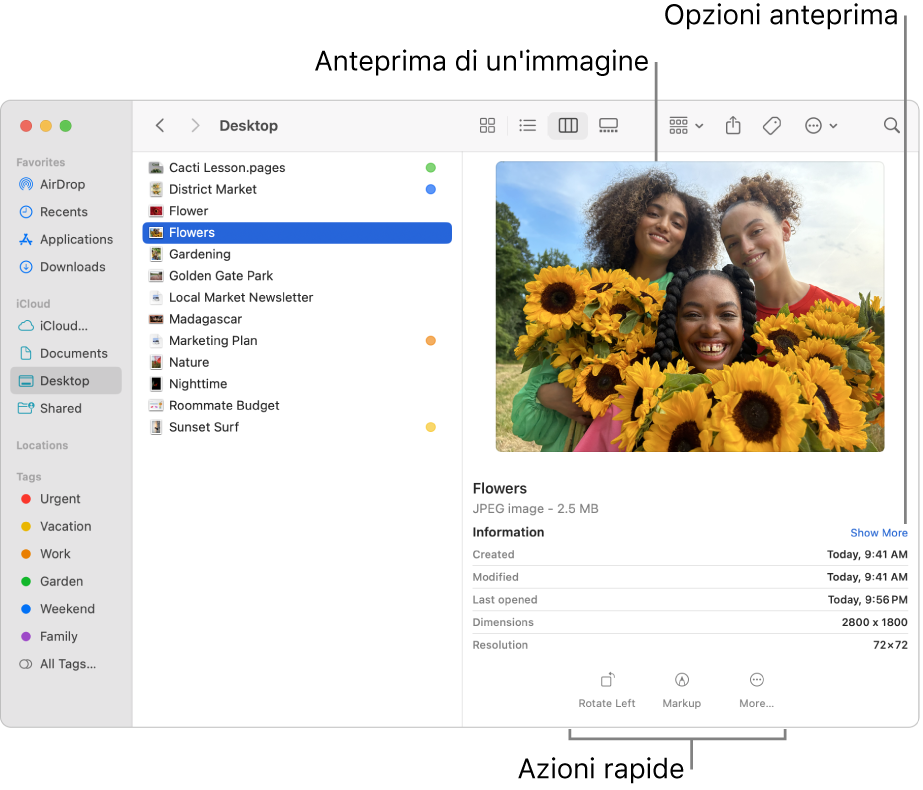 Finestra del Finder con la barra laterale del Finder a sinistra e un file d’immagine selezionata al centro della finestra. A destra, il pannello Anteprima mostra l’immagine, al di sotto i dettagli relativi all’immagine e i pulsanti “Azioni rapide” nella parte inferiore.
