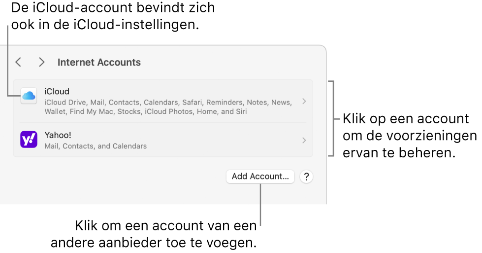 De instellingen voor 'Internetaccounts', met een overzicht van de accounts die op de Mac zijn geconfigureerd.