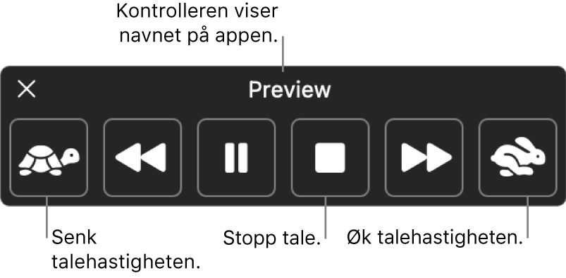 Kontrolleren på skjermen som kan vises når Macen leser opp markert tekst. Kontrolleren har seks knapper der du, fra venstre til høyre, kan redusere talehastigheten, hoppe bakover én setning, spille av opplesingen eller stoppe opplesingen midlertidig, stoppe opplesingen, hoppe framover i én setning og øke talehastigheten. Navnet på appen vises øverst på kontrolleren.