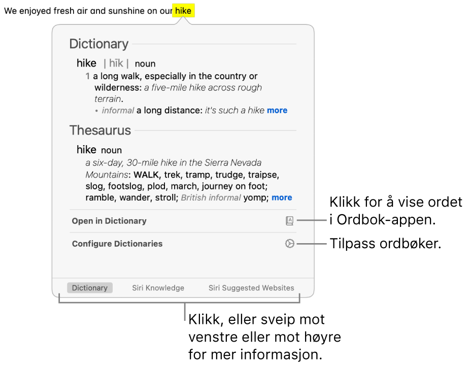 Slå opp-vinduet som viser Ordbok- og Synonymordbok-definisjoner for et ord.