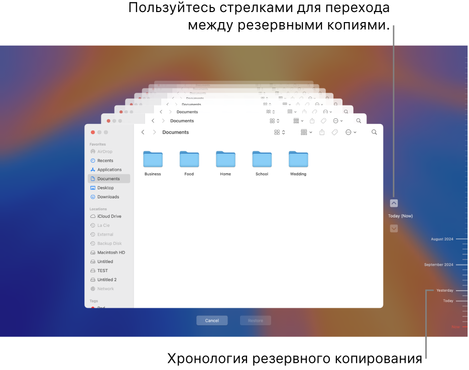 Окно Time Machine, в котором отображаются окна Finder, каждое из которых представляет собой резервную копию, и стрелки для навигации. С помощью стрелок и шкалы времени резервного копирования справа можно перемещаться между резервными копиями и выбирать файлы для восстановления.