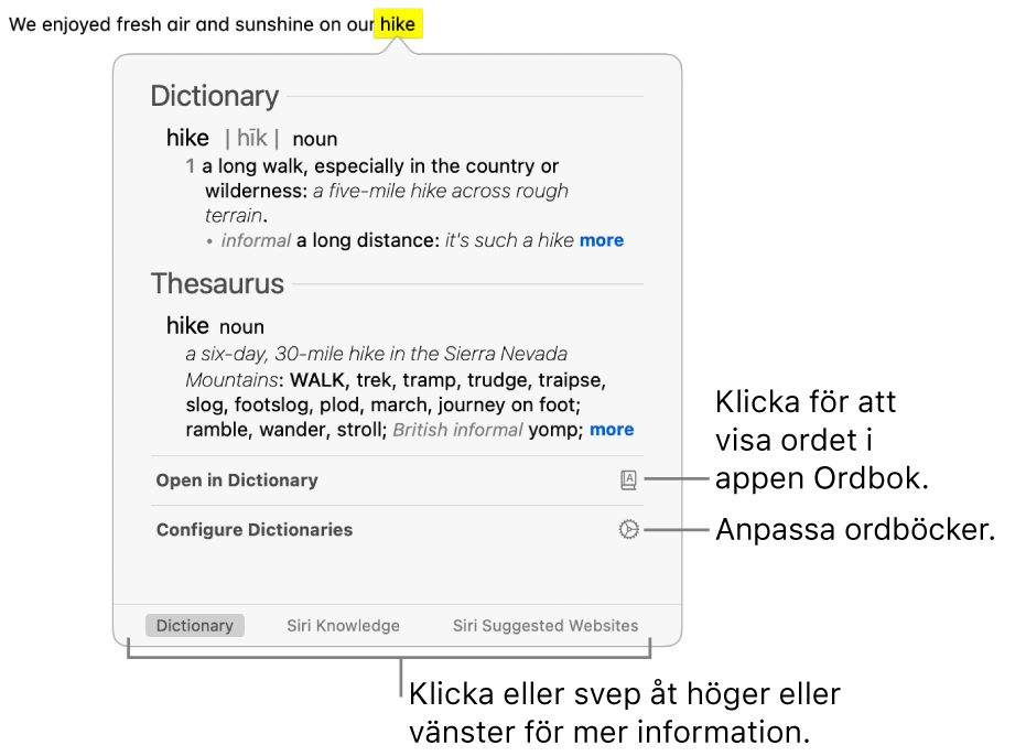 Fönstret Slå upp med definitioner för ett ord från Ordbok och Synonymordbok.