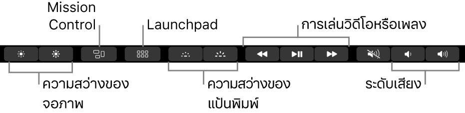 Control Strip ที่ขยายอยู่จะมีปุ่มต่างๆ เรียงจากซ้ายไปขวาดังนี้ ความสว่างจอภาพ, Mission Control, Launchpad, ความสว่างแป้นพิมพ์, การเล่นวิดีโอหรือเพลง และระดับเสียง