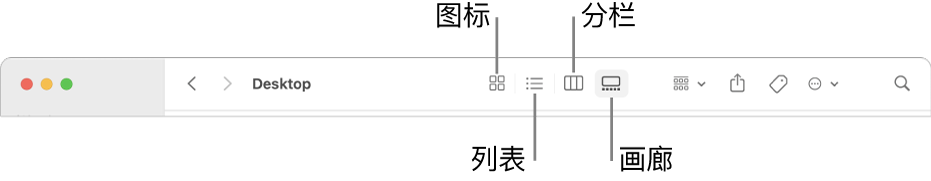 “访达”窗口顶部显示文件夹的“显示”选项按钮。