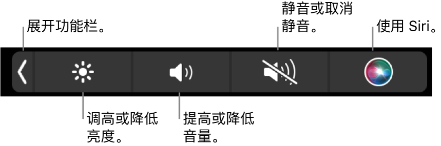 折叠的功能栏包括的按钮从左到右依次为：展开功能栏、增加或减少显示器亮度和音量、静音或取消静音、以及使用 Siri。