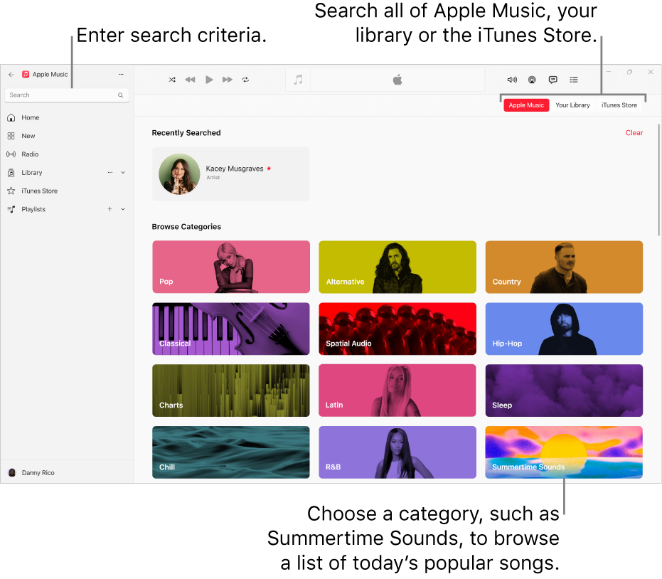 The Apple Music window showing the search field in the top-left corner, the list of categories in the centre of the window, and Apple Music, Your Library and iTunes Store buttons in the top-right corner.