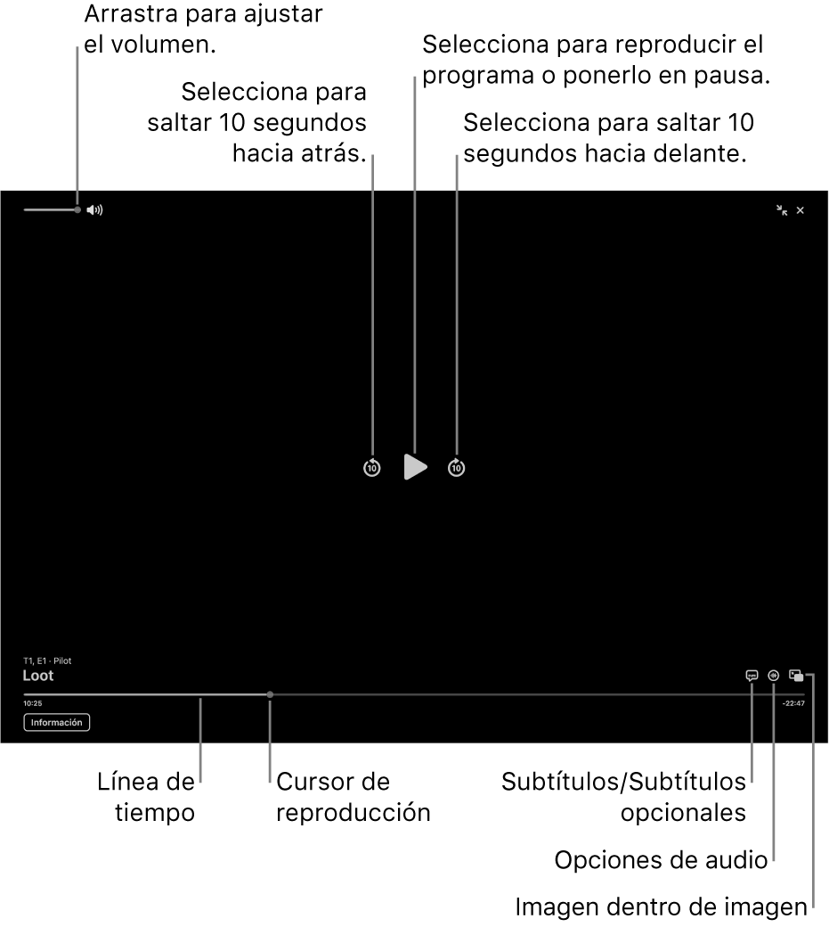 Controles de reproducción del visor, con botones para reproducir, pausar, avanzar, retroceder y ajustar el volumen.